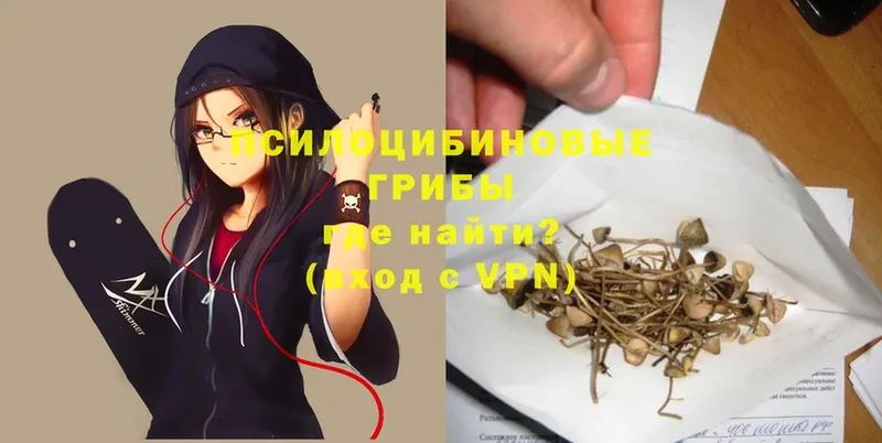 Псилоцибиновые грибы MAGIC MUSHROOMS  blacksprut ССЫЛКА  Батайск  магазин продажи наркотиков 